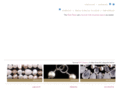 debrafabiandesign.com