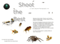 shootthebest.com