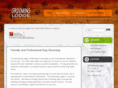 thegroominglodge.com