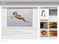 asis-art.com