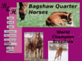 bagshawquarterhorses.com