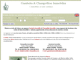 immobilier-champollion.com