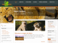 junglelifesafaris.com