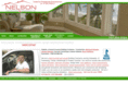 nelsonconstructionandrenovations.com