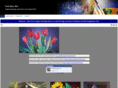 tomnorrart.com