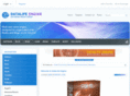 1vnd.com