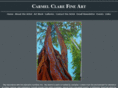 carmelclare.com