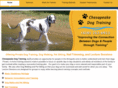 chesapeakedogtraining.net