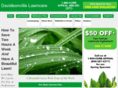 davidsonvillelawncare.com