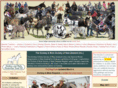 donkey-mule.org.nz
