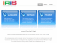integratedreportingissimple.com