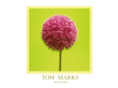 tommarksphotography.com