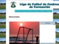 licefor.com