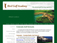 mountaingolfschools.com