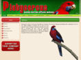 platycercus.com