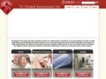 saintgeorgetechnology.com