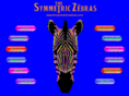 thesymmetriczebras.com