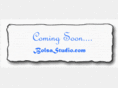 bolsastudio.com