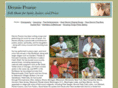 dennispearnefolkmusic.com