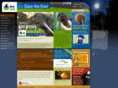 savethekiwi.org.nz