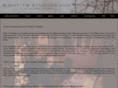 sight16studios.com