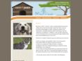 care4paws.com
