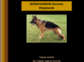 bonshannon.com