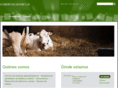 comercialraybe.com
