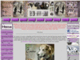 friendlygiantsdogrescue.com