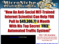 micronichemillionaire.com