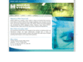 microvisionindia.com