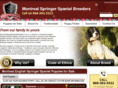montrealspringerspanielbreeders.com