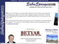 sabresprings.com