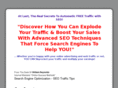 seo-traffic-secrets.com
