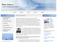 minainfosys.com