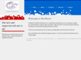 nuwavecarwash.com