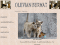 oliivian.com