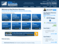 realbusinessrecovery.co.uk