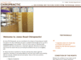 thehouston-chiropractor.com