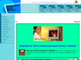 professionalhindiwriters.com