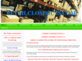 retailcloseouts.com