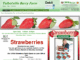 talbotvilleberryfarm.com