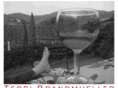 terribrandmueller.com