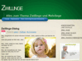 zwillinge-zwillinge.com