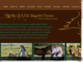 daysquarterhorses.com