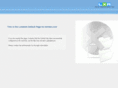 ibintan.com