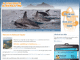 kaikourakayaks.co.nz