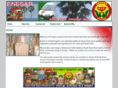nsrstore.com