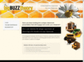 bigbuzztheory.com