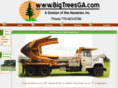 bigtreesga.com